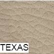 texas